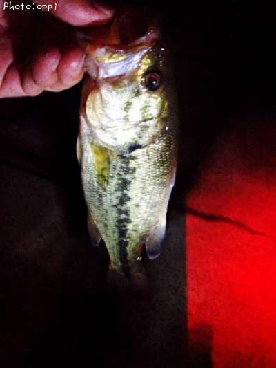 �֥�å��Х�