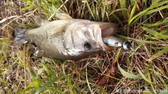 �֥�å��Х�