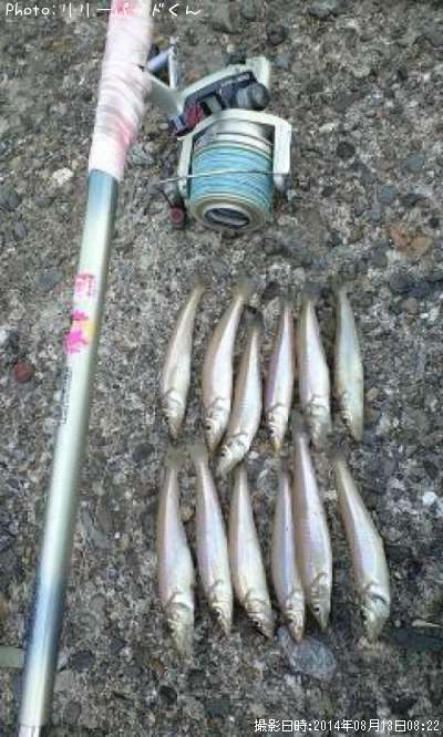 �ѡ���ԥ󥯤ε��ؿ�