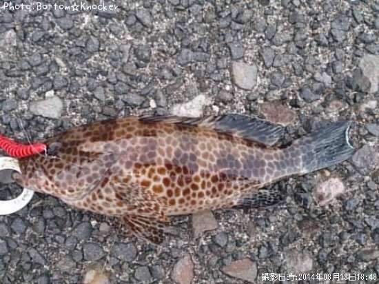 �������ϥ�