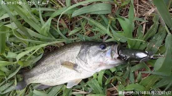 �֥�å��Х�