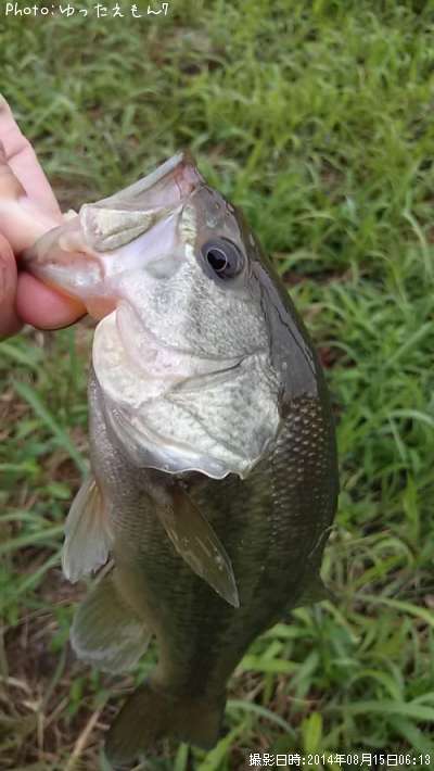 �֥�å��Х�