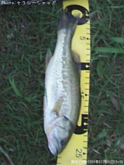 �֥�å��Х�