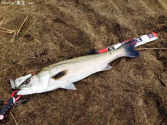 �����Х�