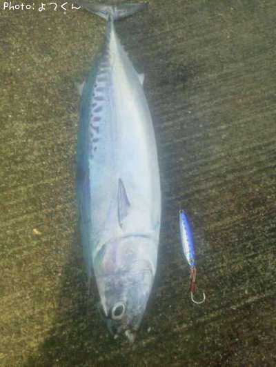 �ޥ륽����