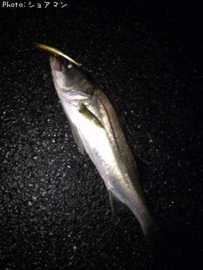 �����Х�