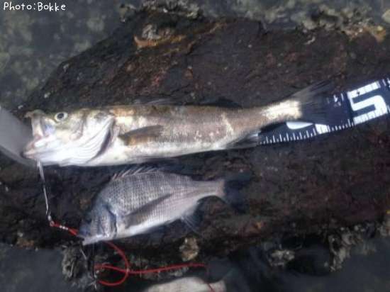 �����Х�