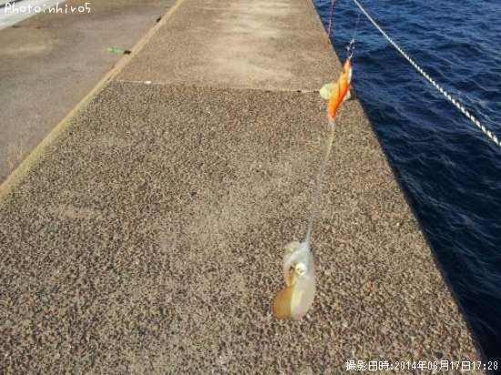 �����ꥤ��