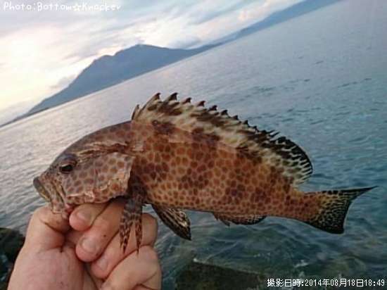 �������ϥ�