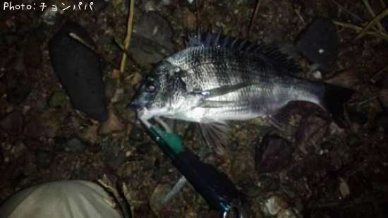 ����