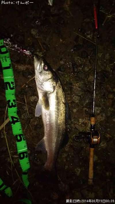 �����Х�