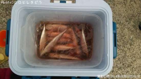 �ޥ���