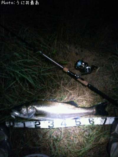 �����Х�