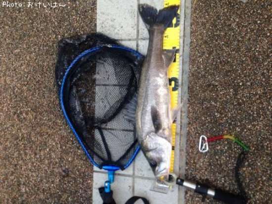 �����Х�