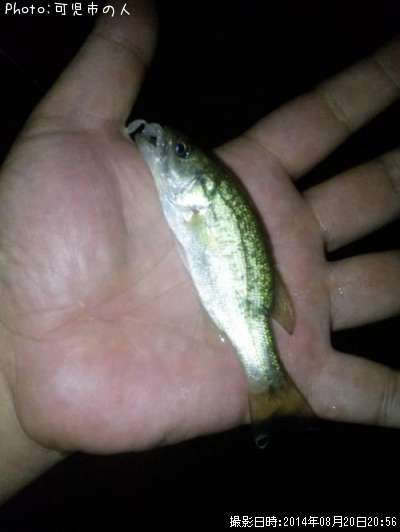 �֥�å��Х�