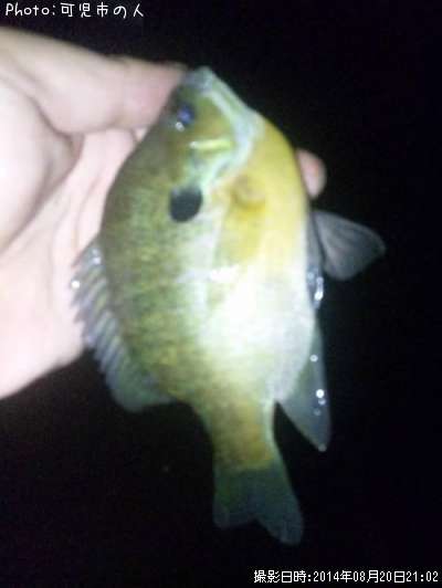 �֥롼����