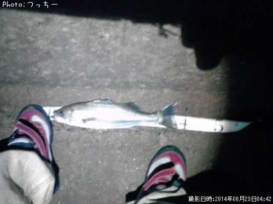 �����Х�