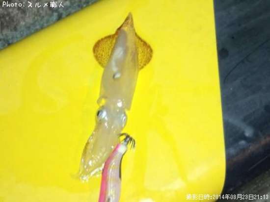 �٥���