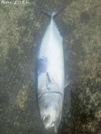 �ҥ饽����