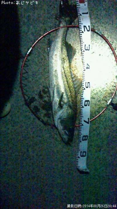 �����Х�