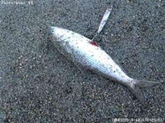 ���Υ���