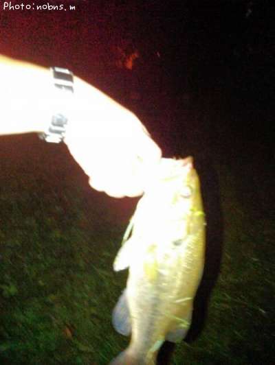 �֥�å��Х�