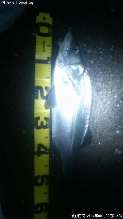 �ҥ饹����