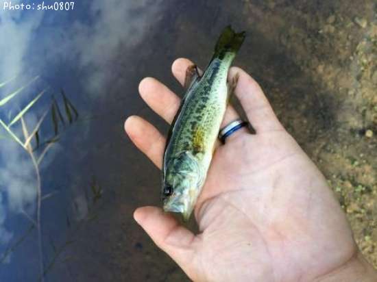 �֥�å��Х�