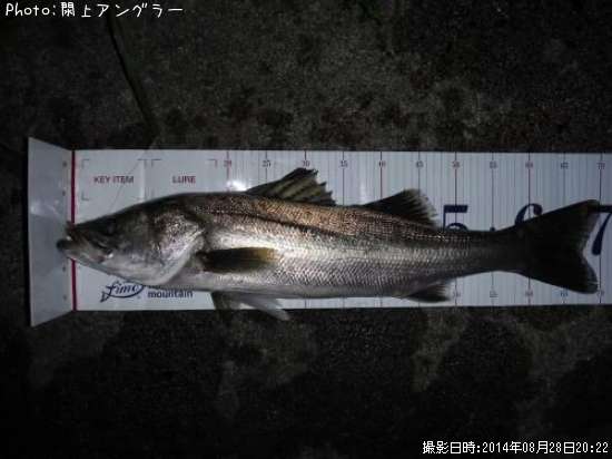 �����Х�