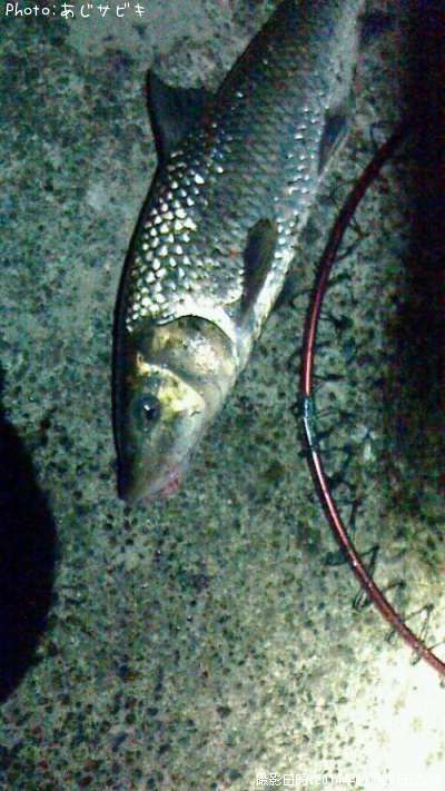 �������ȥ����Х�