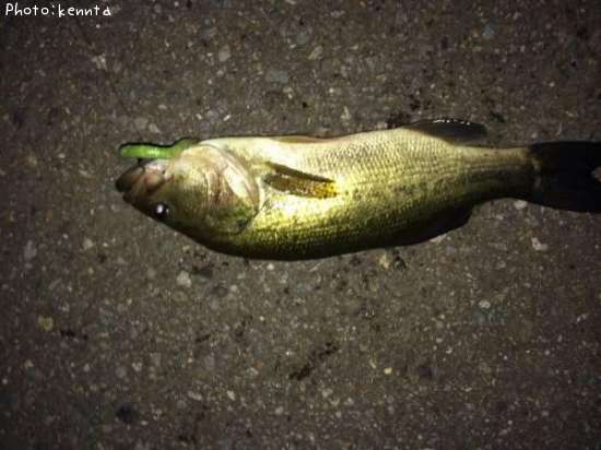 �֥�å��Х�