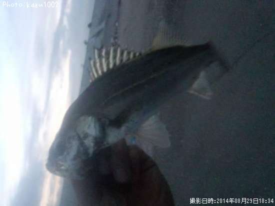 �����Х�