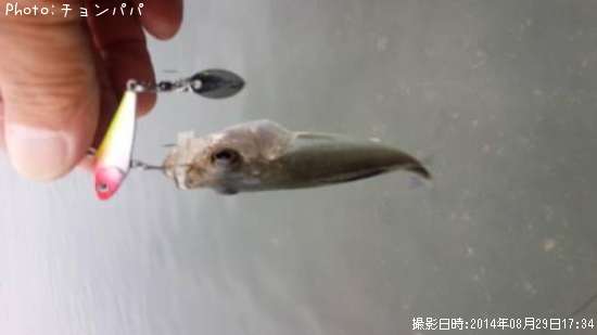 �����Х����ߥ�