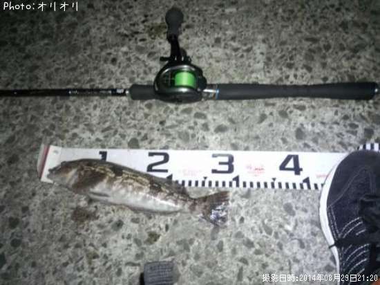 �����ʥ�