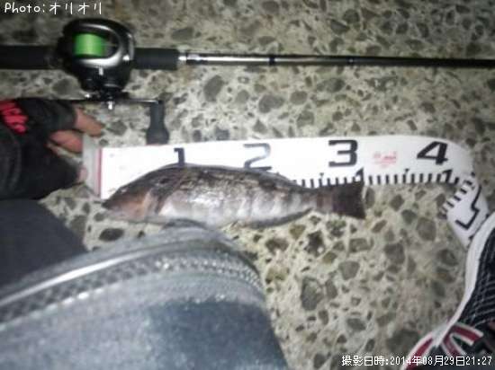 �����ʥ�