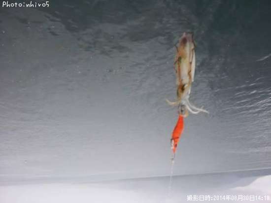 �����ꥤ��