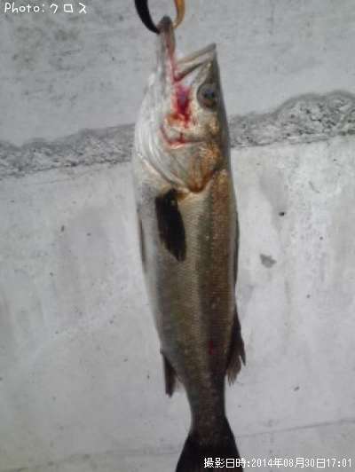 �����Х�