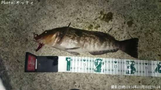 �����ʥ�