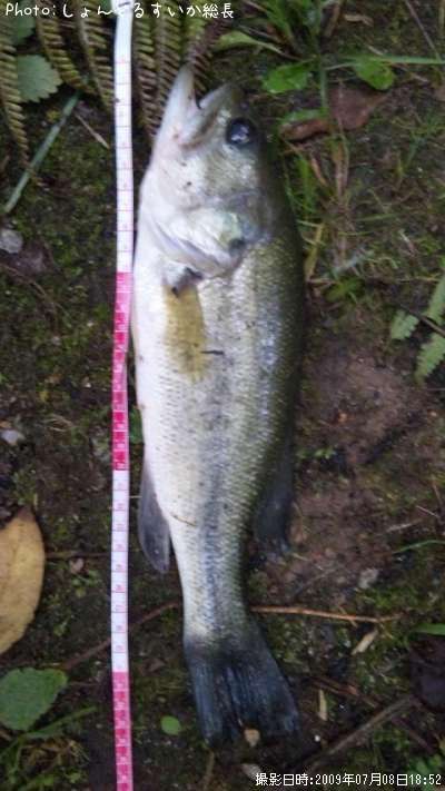 �֥�å��Х�