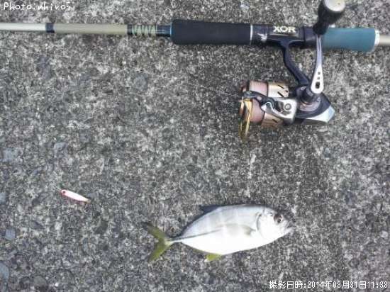 ��å�����