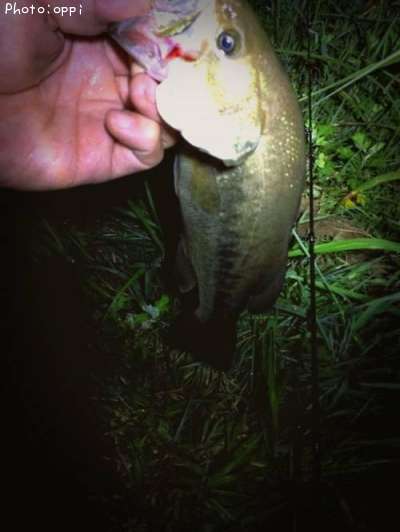 �֥�å��Х�