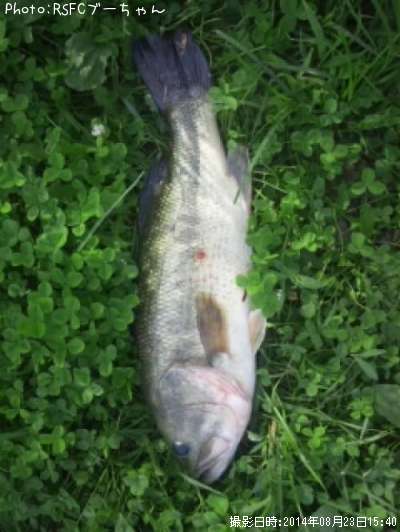 �֥�å��Х�