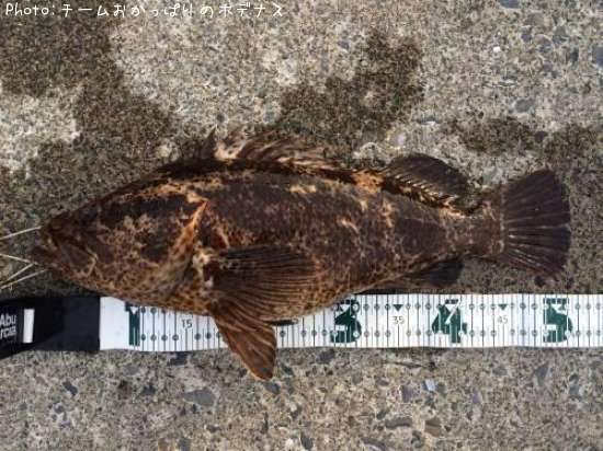 �����Υ���Х�