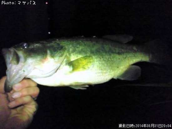 �֥�å��Х�