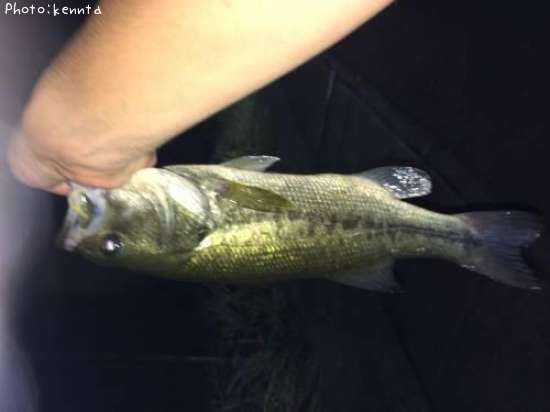 �֥�å��Х�