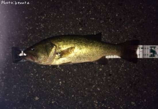 �֥�å��Х�