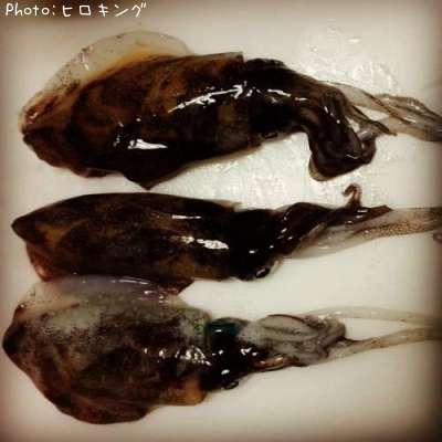 �����ꥤ��