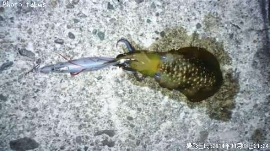 �����ꥤ��