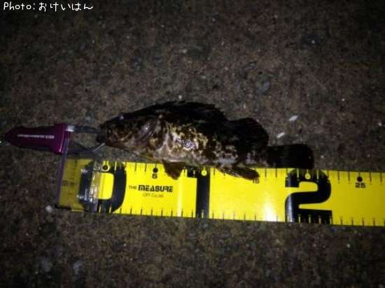 �����Υ���Х�