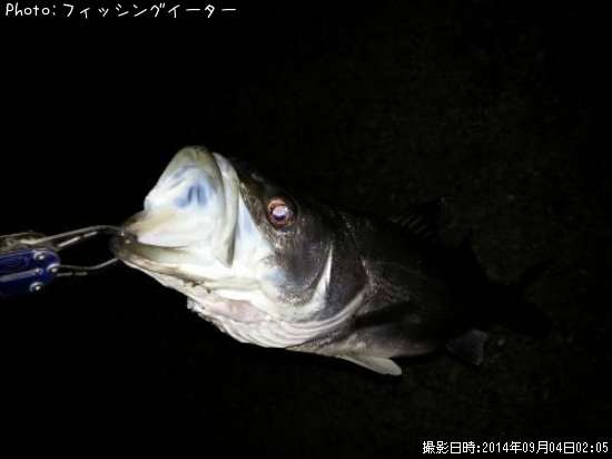 �����Х�